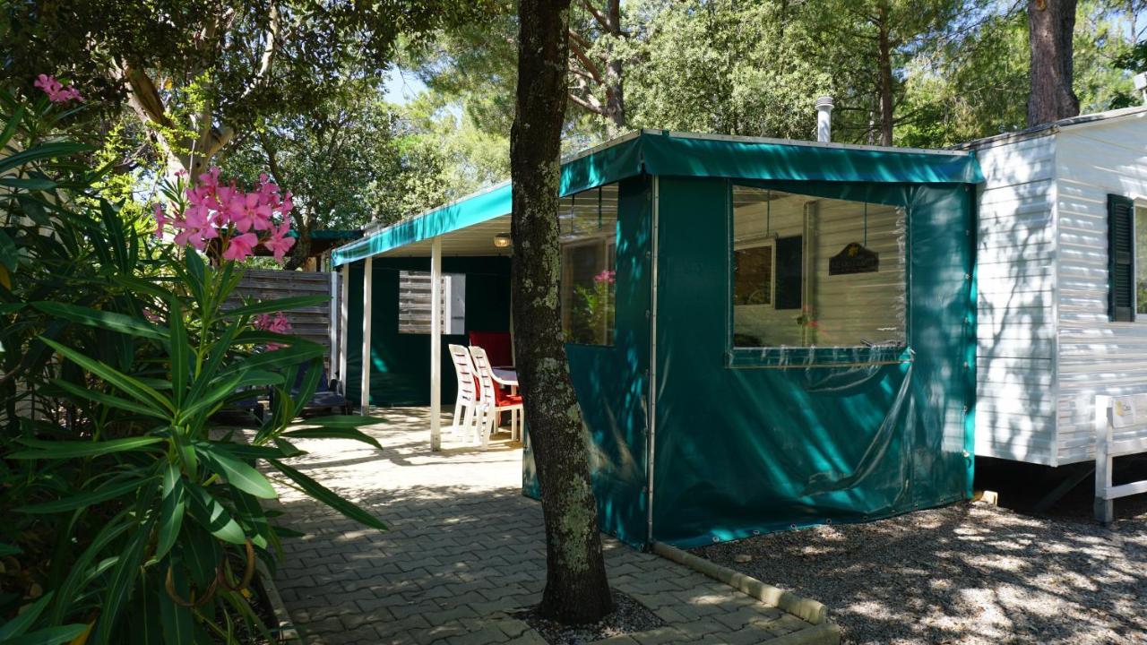 Chalets Met Buitenkeuken Op Camping Lei Suves - Joycasa Roquebrune-sur Argens Εξωτερικό φωτογραφία