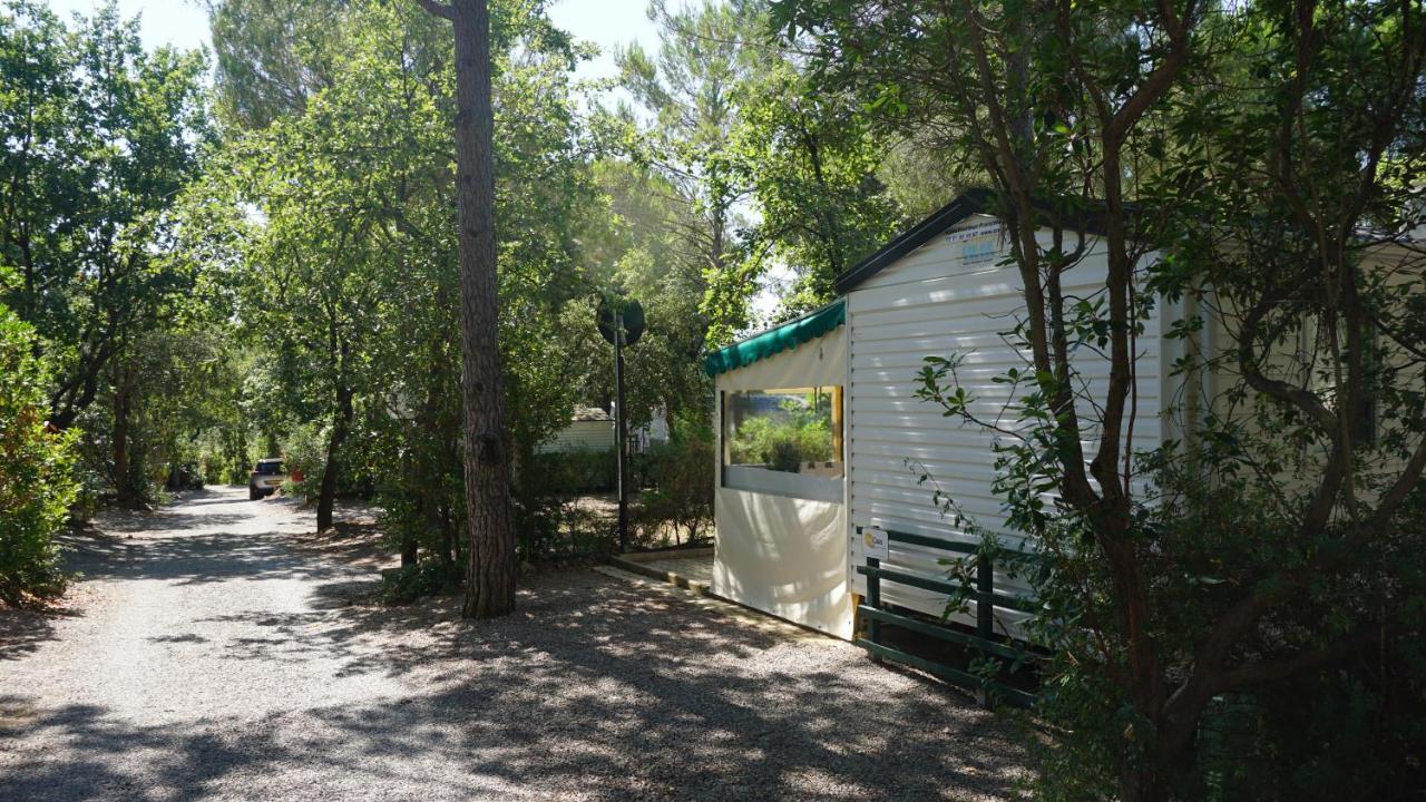 Chalets Met Buitenkeuken Op Camping Lei Suves - Joycasa Roquebrune-sur Argens Εξωτερικό φωτογραφία