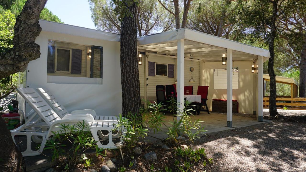 Chalets Met Buitenkeuken Op Camping Lei Suves - Joycasa Roquebrune-sur Argens Εξωτερικό φωτογραφία