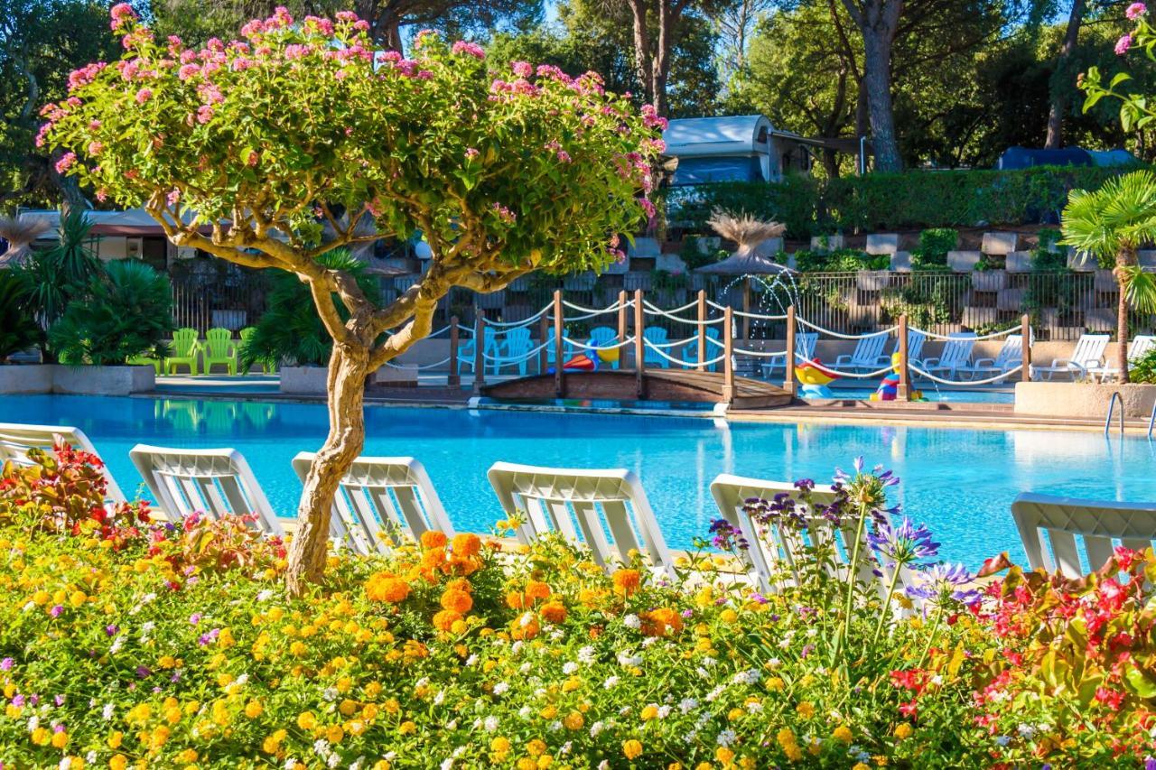 Chalets Met Buitenkeuken Op Camping Lei Suves - Joycasa Roquebrune-sur Argens Εξωτερικό φωτογραφία