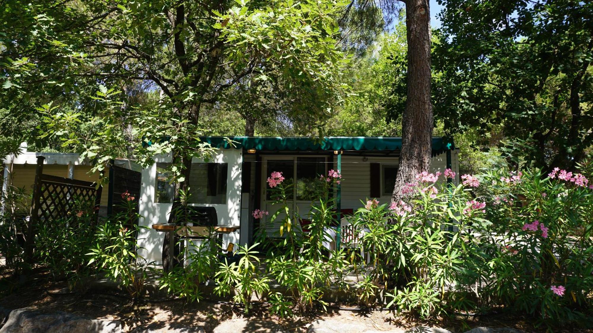 Chalets Met Buitenkeuken Op Camping Lei Suves - Joycasa Roquebrune-sur Argens Δωμάτιο φωτογραφία